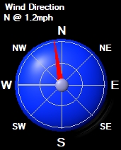 Wind Rose